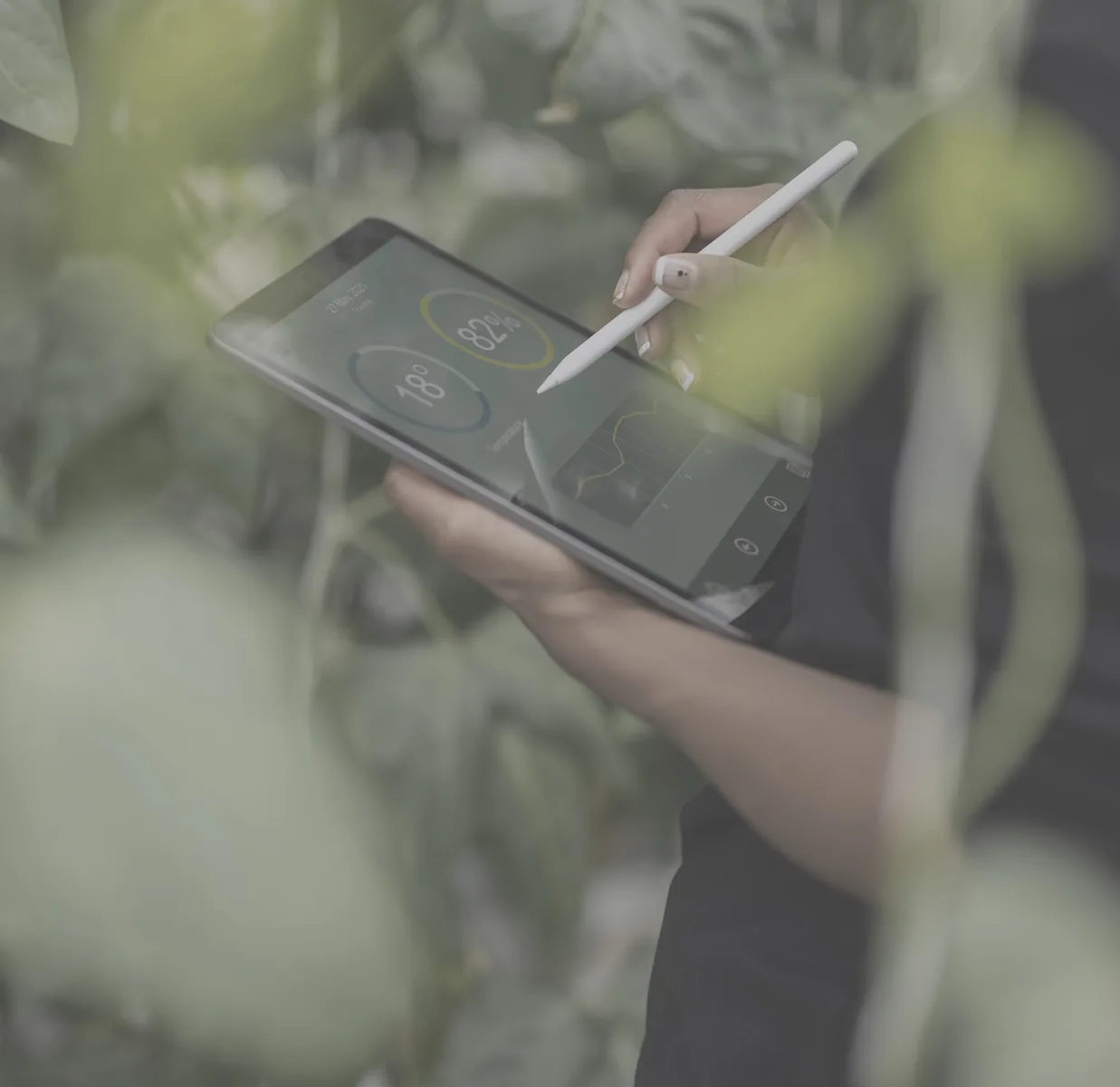 Utilisation d'un outil numerique sur le terrain